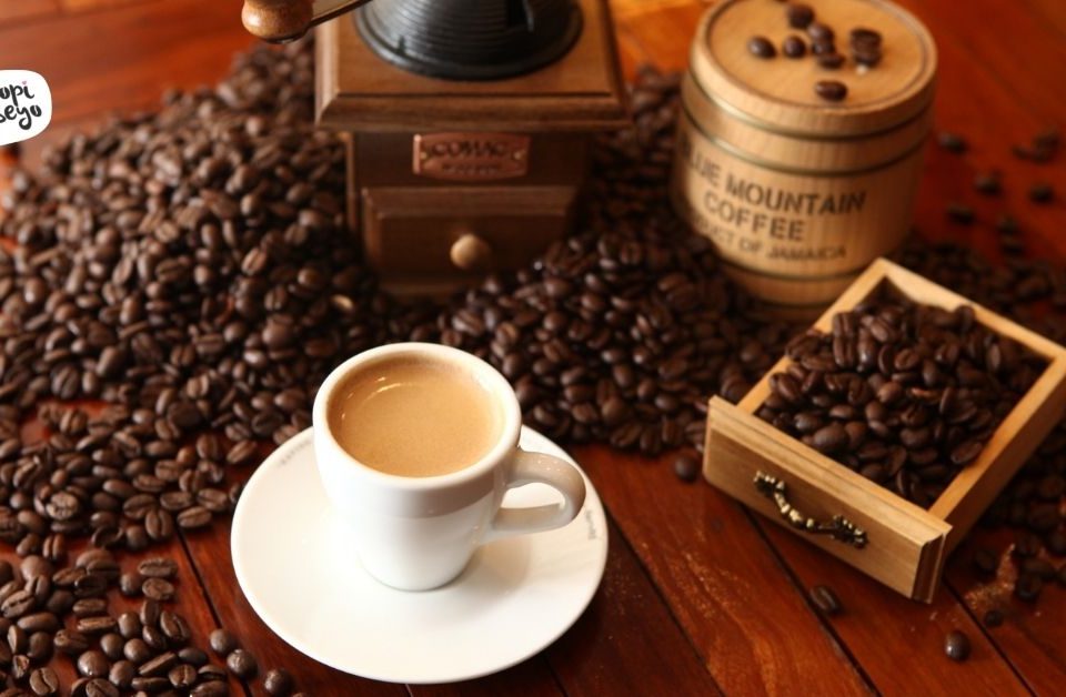 franchise-kopi-terlaris-yang-cocok-untuk-pemula-bisnis