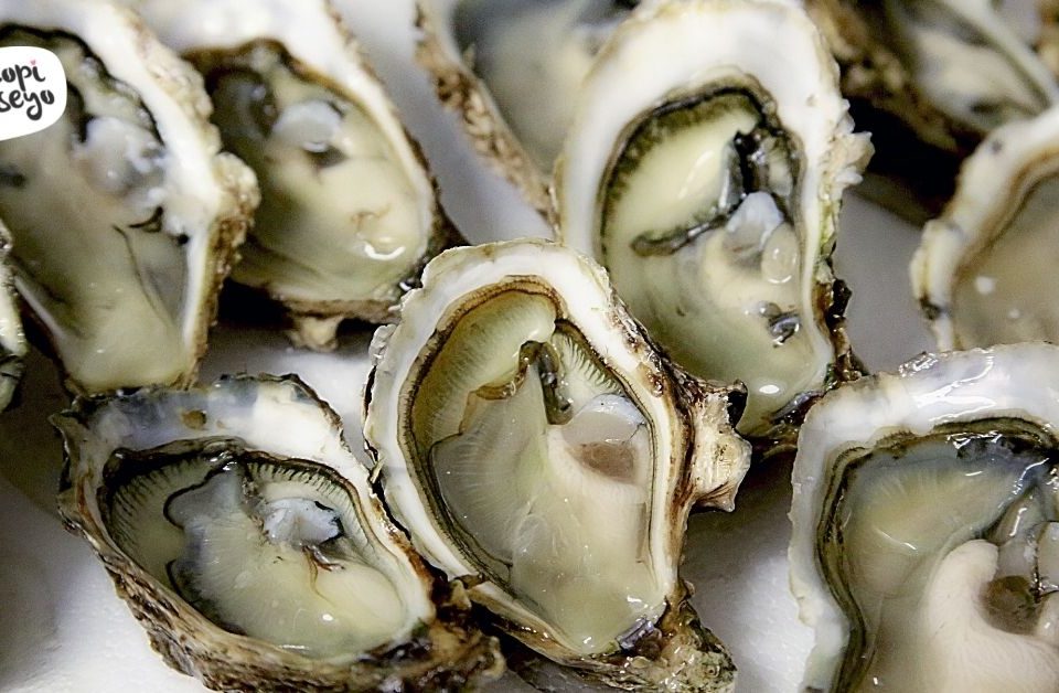 makanan-korea-kopi-chuseyo